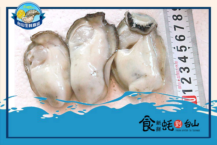臺(tái)山大生蠔每箱